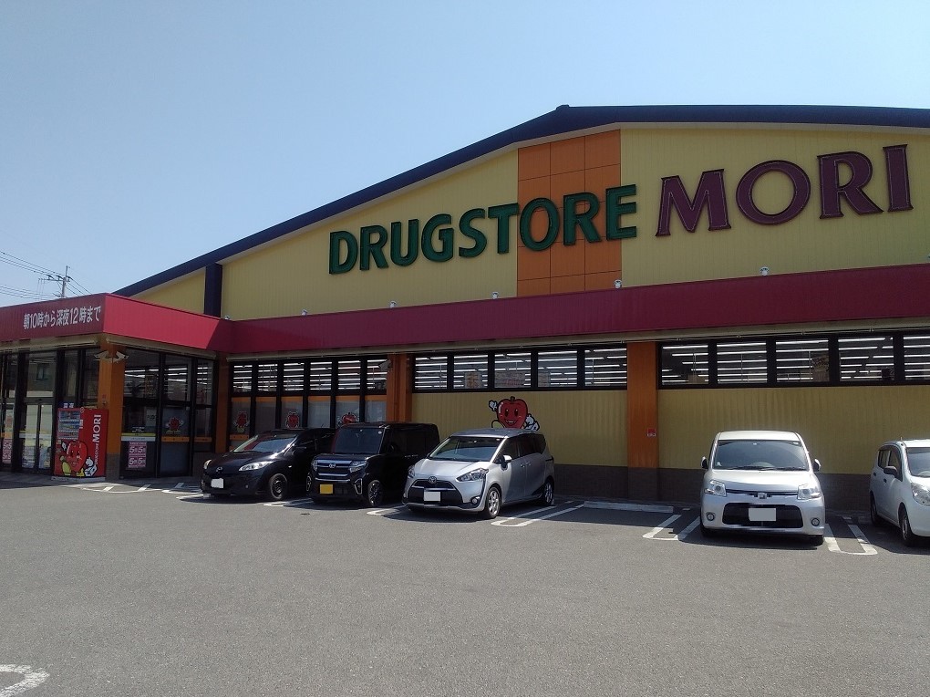 ドラッグストアモリ堤店　徒歩7分