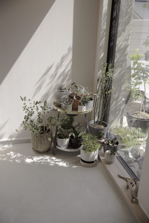 グリーンのある暮らし