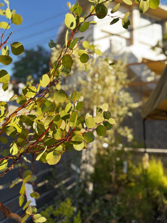 d&h_vita | 無事終了 “WildFlower MARKET”