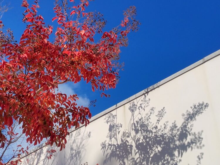 マリナモデルハウスは2025年12月をもって閉館いたします